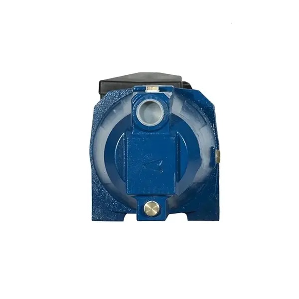 پمپ آب جتی الکتروژن 1 اسب بخار مدل CAM100 تک فاز