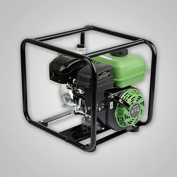 موتور پمپ آب بنزینی ای تی کیو مدل ET20X هندلی