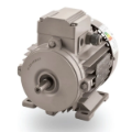 الکتروموتور الکتروژن ۳۰ اسب ۲۲ کیلووات سه فاز دو قطب B3