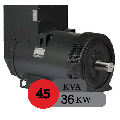 ژنراتور مکالته 45 کاوا سه فاز مدل ECP32-2S/4C